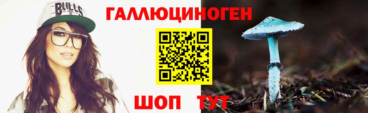 Псилоцибиновые грибы прущие грибы Наро-Фоминск